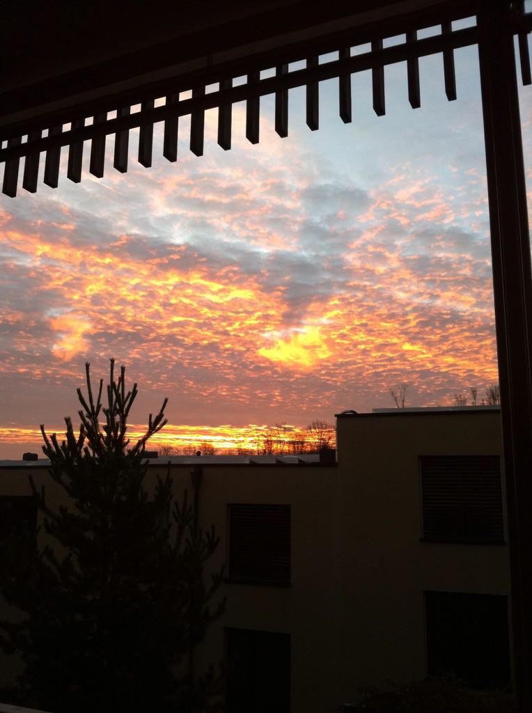 AndyWipfler's tweet photo. Sunrise... http://t.co/zcQSWvz8BL