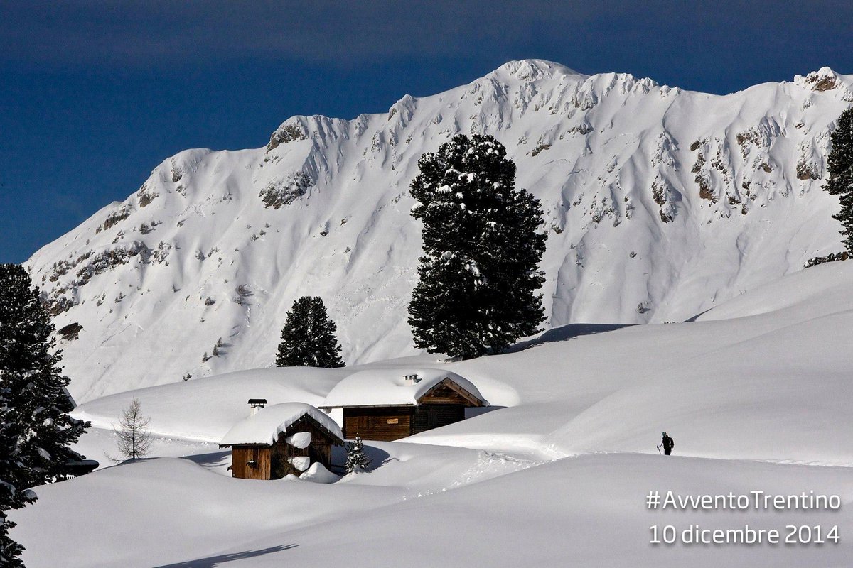 VisitTrentino's tweet photo. 🎅 #AvventoTrentino 🎅 
- 15 giorni al Natale "Bellamonte" @visitfiemme di M. Piazzi .@TheParadisePics http://t.co/6tvWS7hSrr