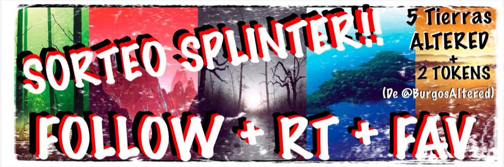 Splinter14Tween's tweet photo. DESDE HOY HASTA EL 24 POR LA NOCHE PODÉIS PARTICIPAR! #SorteoSplinter #Cumplimos1Año #GoGoGoSplinters http://t.co/v1pufjZKfd