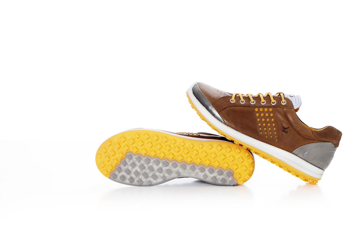 ecco biom hybrid 2 2014