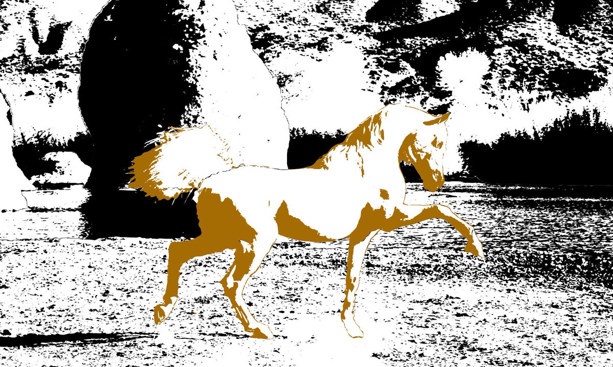 ARoyalSecret4's tweet photo. Love #horses go to  http://t.co/hWXk6DESIx contribute and be a PART of The @A_Royal_Secret http://t.co/M1xuANZ063