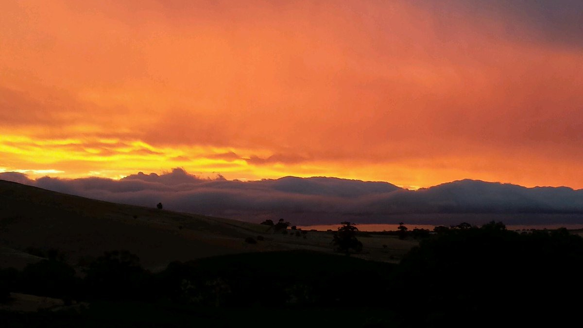 AntheaMac's tweet photo. Stunning sunset tonight! No filter needed #BarossaValley @MyBarossa http://t.co/eVLyESozBK
