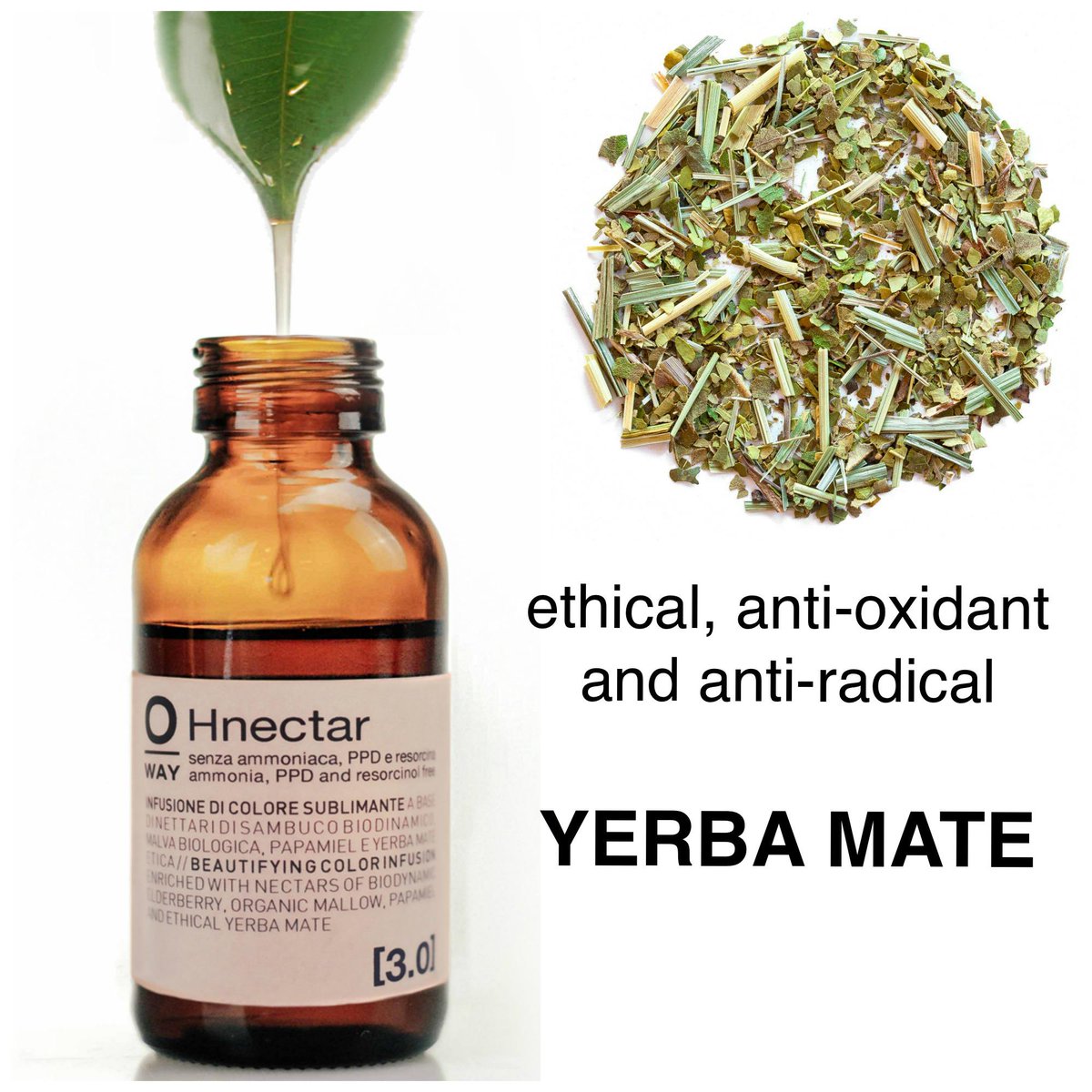 oway_official's tweet photo. Yerba Mate etica ingrediente #naturale #Hnectar elisir di vitalità, #Salute e longevità! http://t.co/4YIOdA0EPF http://t.co/UE2auMGHCT