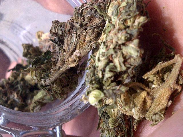 Adey_Barnes's tweet photo. Selling Caramel Infused Kush=] Ntn Under R50 http://t.co/yYsfbynHZP
