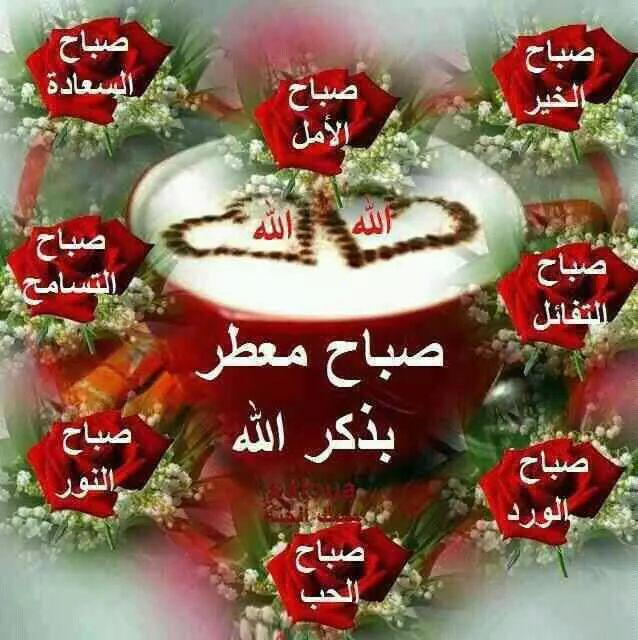 لقمان بكر (@lukamnbkr) on Twitter photo 