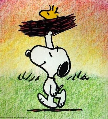 OlitaliaEc's tweet photo. Y quién no recuerda a Snoopy?! Hoy nos dice Buenos días!!!! :) http://t.co/adYRa9FHNj