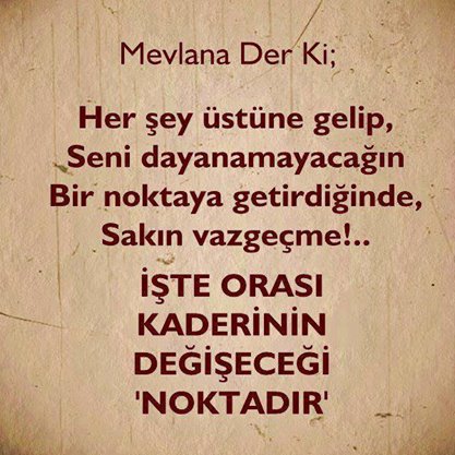 cihansene tweet picture