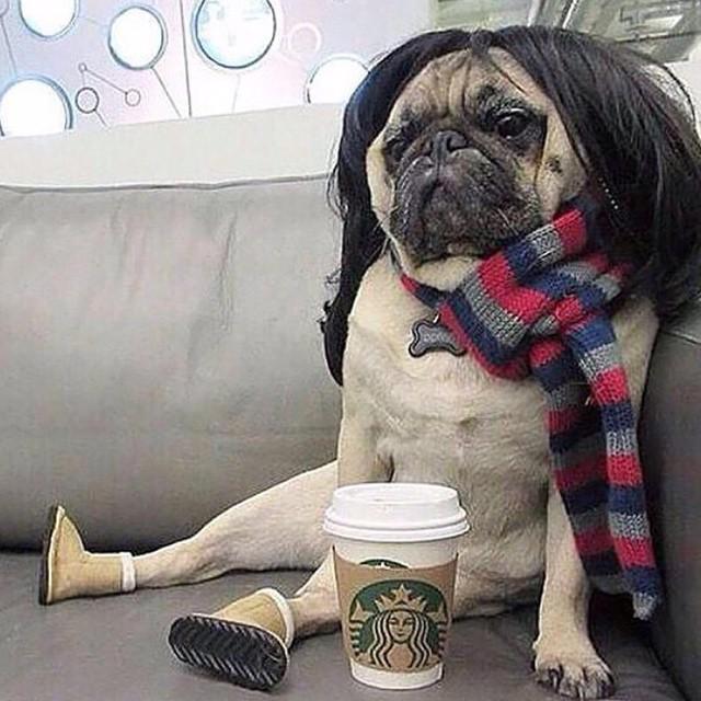 Complex's tweet image. Happy Wednesday.