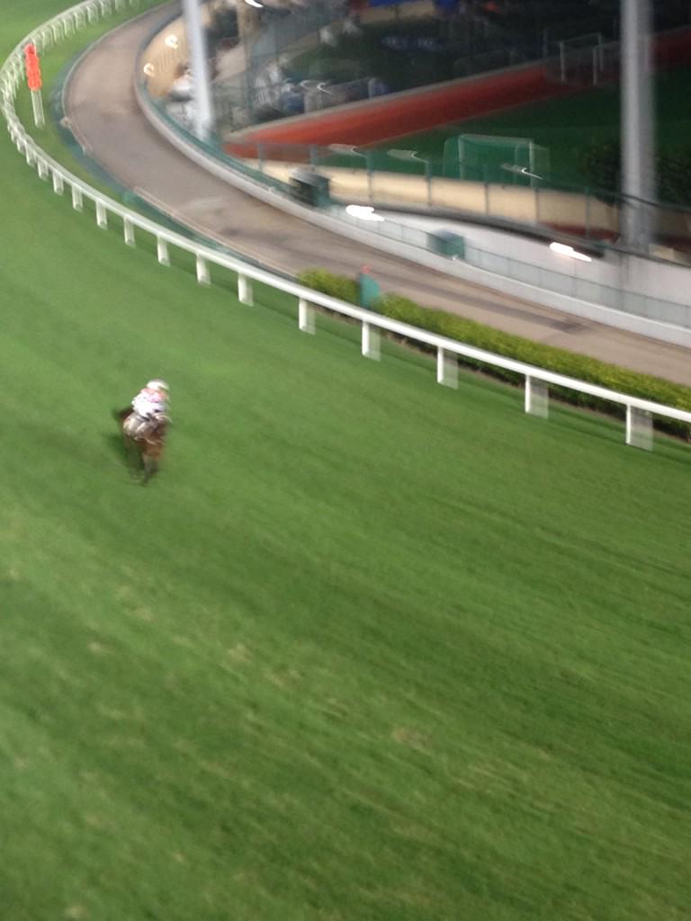 brentzerafa's tweet photo. Joao Moreira for PM @TVNTVN http://t.co/gXQpPJRLM8