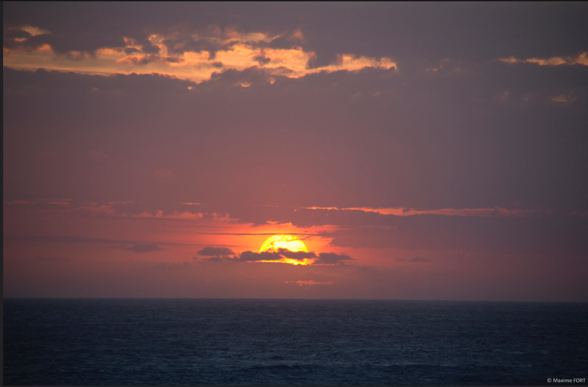 LadiLafeFR's tweet photo. No filter, no photoshop, juste un coucher de soleil à #LaRéunion... Fabuleux #sunset974 #WeAre974
(By Maxime FORT http://t.co/EcJF9jFp06