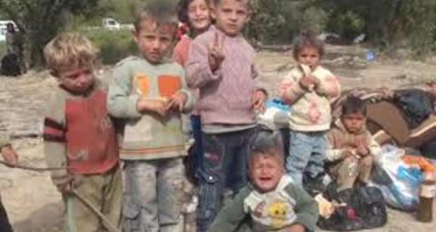 Embedded image permalink