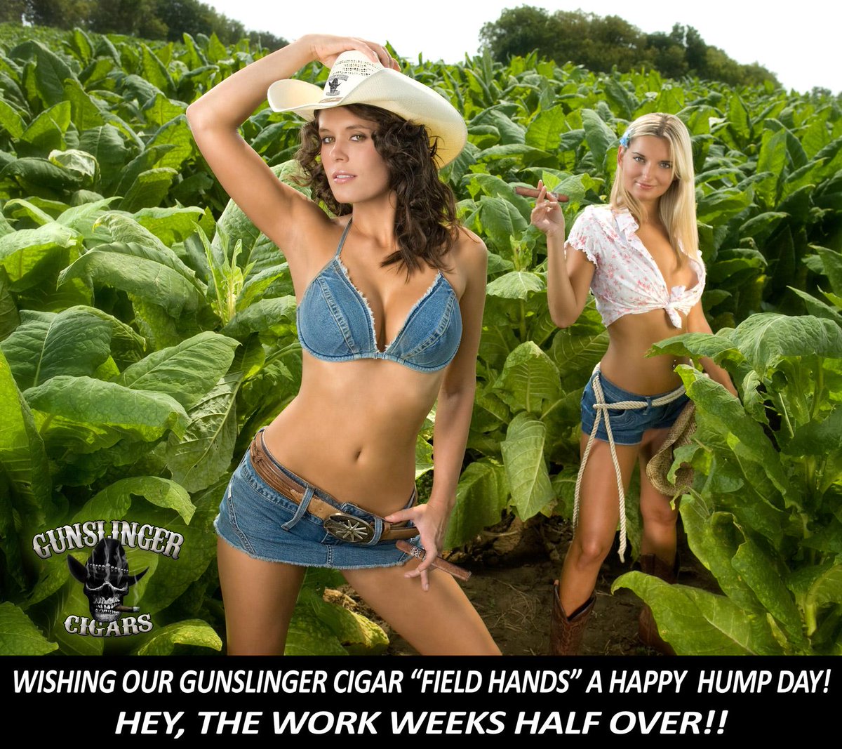 Gunslinger Cigar tweet media