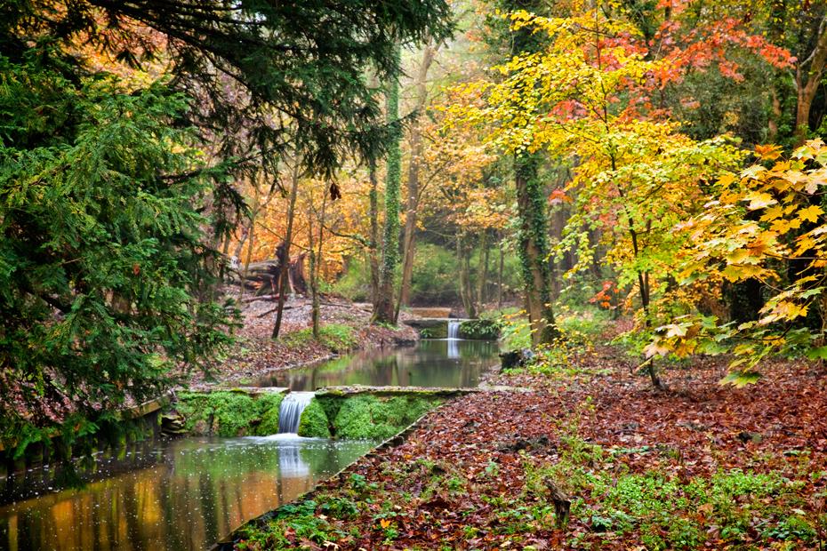 Photograferry's tweet image. #Photography blog bit.ly/1vONGUw from the Wychwood Wild Garden in the #cotswolds for a bit of #autumn colour