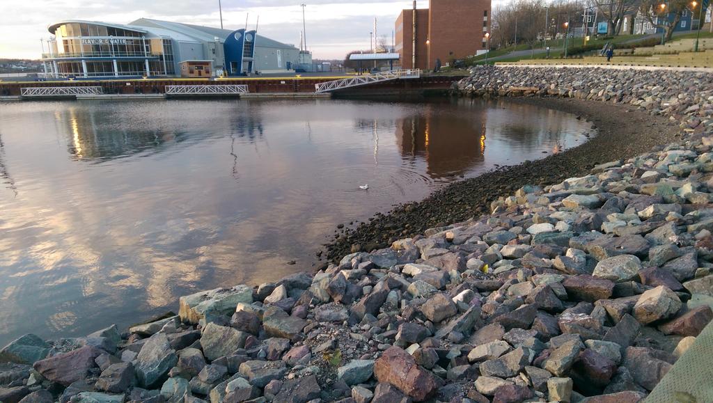 ArchieMacau's tweet image. Just learning how to use this medium called Twitter. Have a nice day.