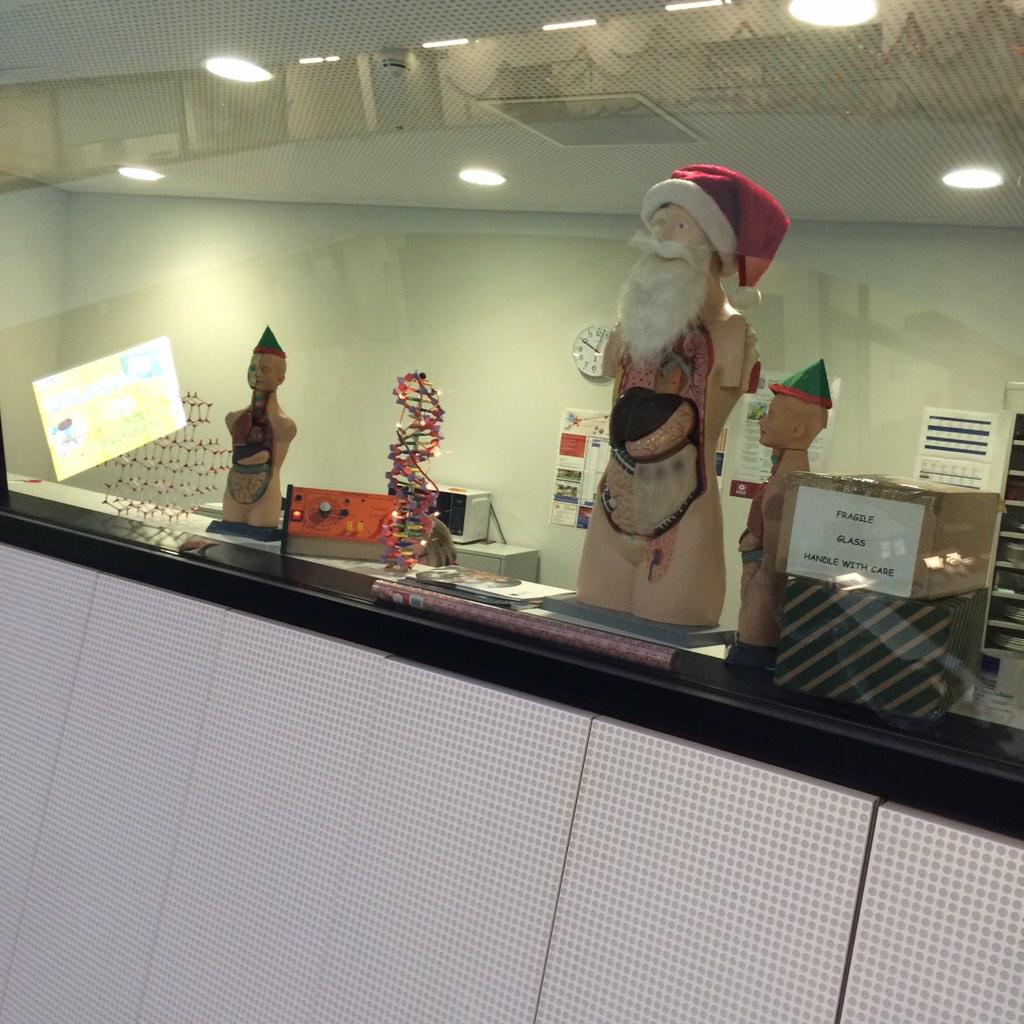 Chobham_Science's tweet photo. This is what amazing Christmas decoration looks like @chobhamacademy http://t.co/0Rkexf4XQH
