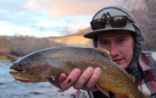 OrvisFlyFishing's tweet image. Here's 30sec of pure Montana cutthroat magic. Enjoy. orv.is/MTmagic #flyfishing