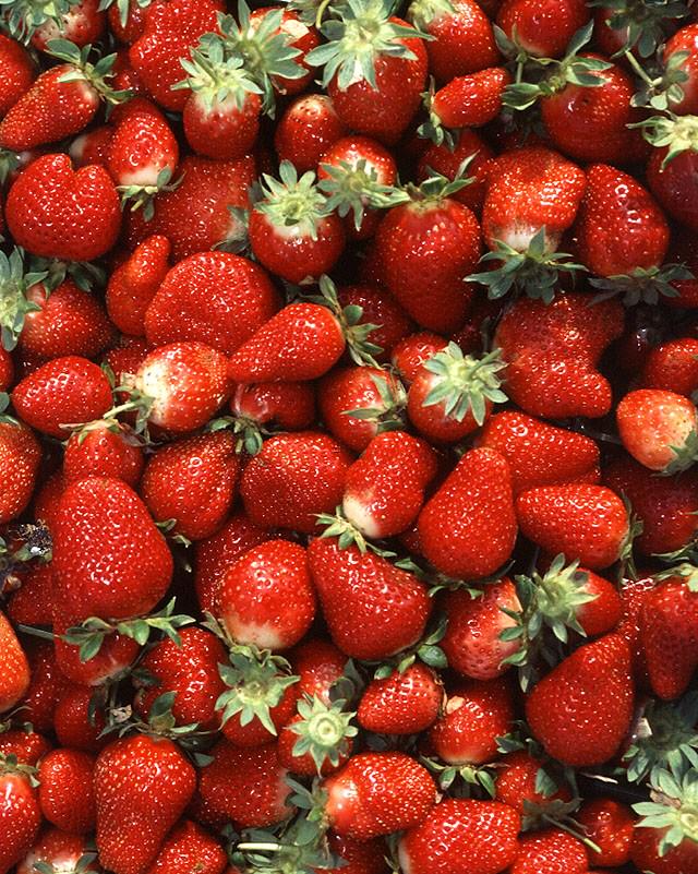 palomadtwitt's tweet photo. @spanish_srta Prefiero comer las fresas. http://t.co/ggYhqP9GnN
