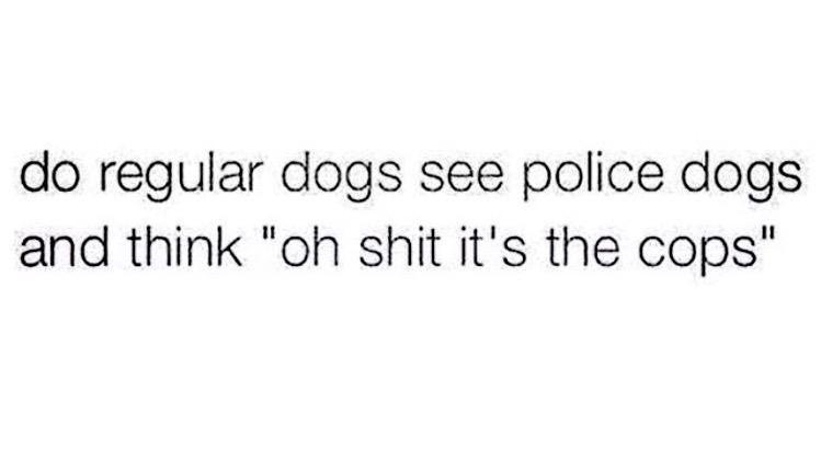 stillblazingtho's tweet image. 😂😂😂