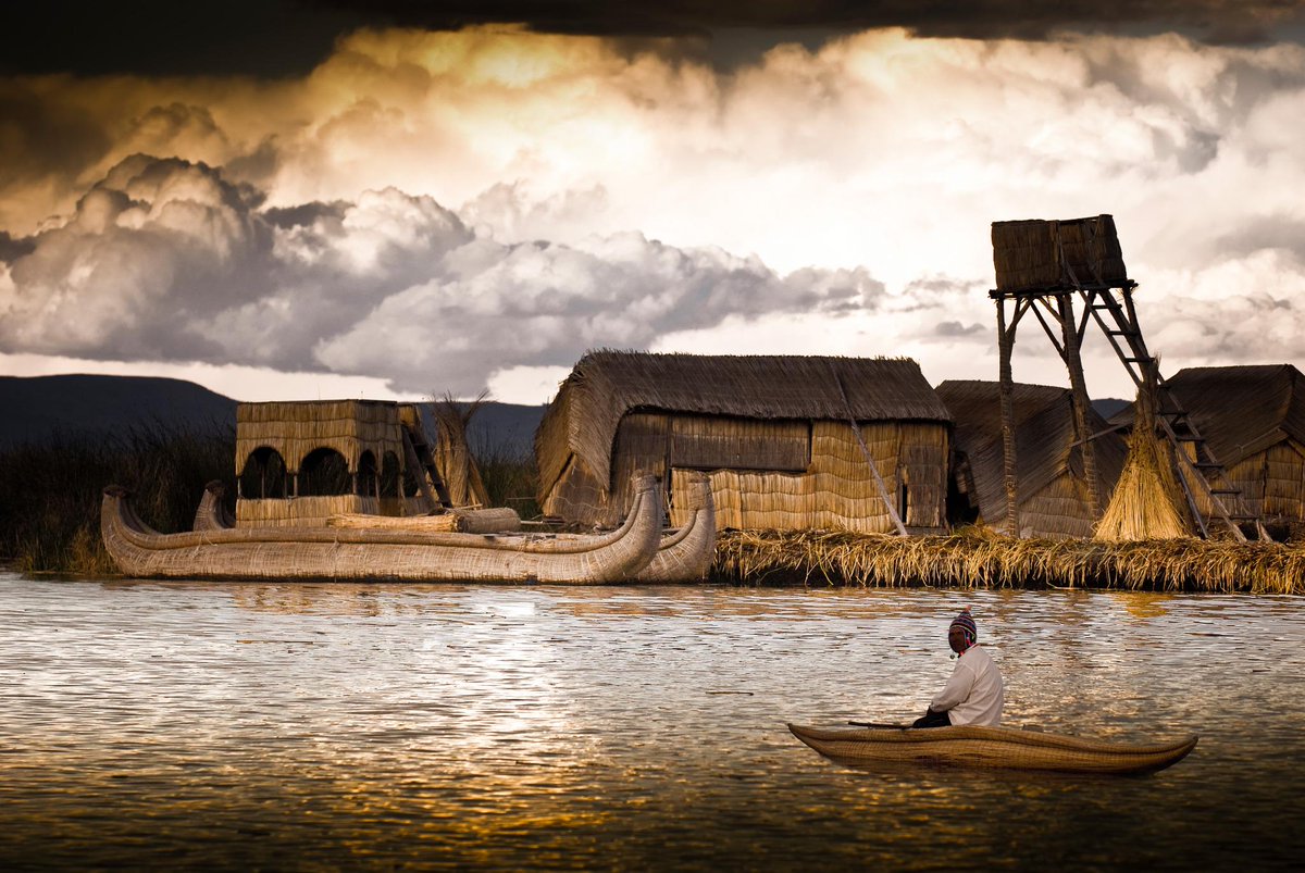 Gonzalo del Campo tweet media