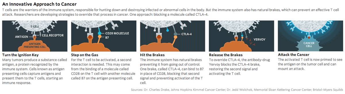 UWCCI's tweet photo. RT @heatinformatics: Innovative: How the Promise of #Immunotherapy Is Transforming #Oncology http://t.co/hW8qCo1TDX http://t.co/vcfUZVakVk