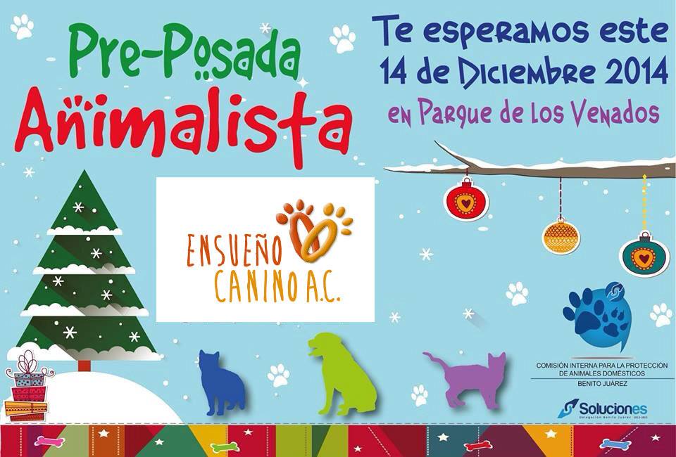 EXPOANIMALANDIA's tweet photo. RT  A todos nuestros visitantes de Expo Animalandia que no alcanzo$$$ para comprar mas regalitos estaremos en 14 dic http://t.co/9WIzkf4x2T