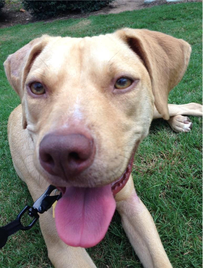 What a beautiful Wednesday!