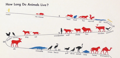 themarginalian's tweet image. How Otto Neurath, born on this day in 1882, invented pictograms &amp;amp; sparked the infographic age buff.ly/12O1DpD