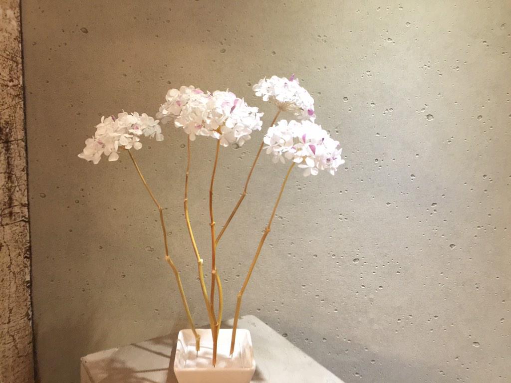 AuxiFp's tweet photo. "@florzenmalaga: Biznagas liofilizadas, solo en Flor Zen (beatas 24) http://t.co/a2GOsqpwY6"