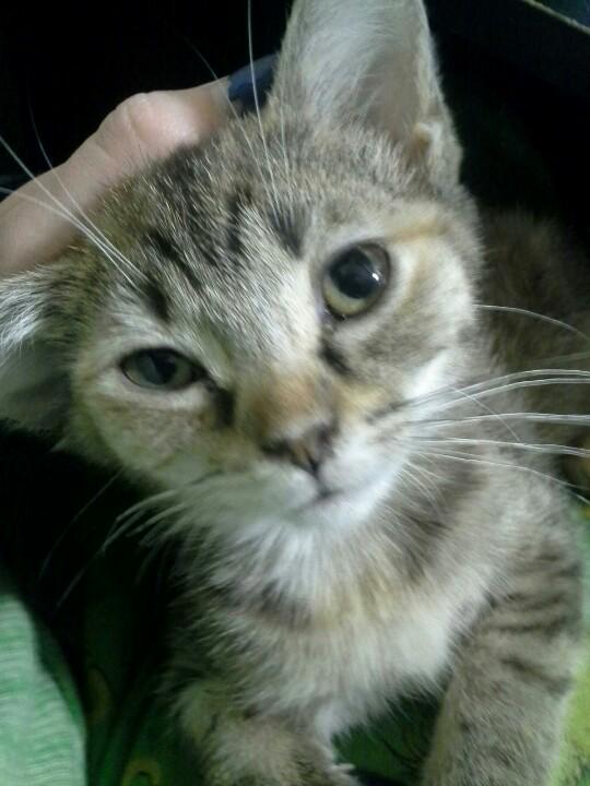 WitchyWyllow's tweet photo. http://t.co/lxwrkwPvXg