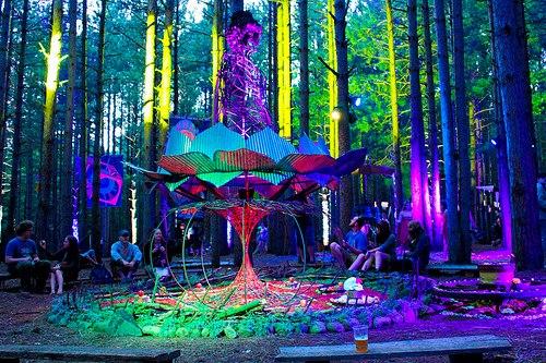 treeNgoodvibes's tweet photo. http://t.co/01vo37DeaG