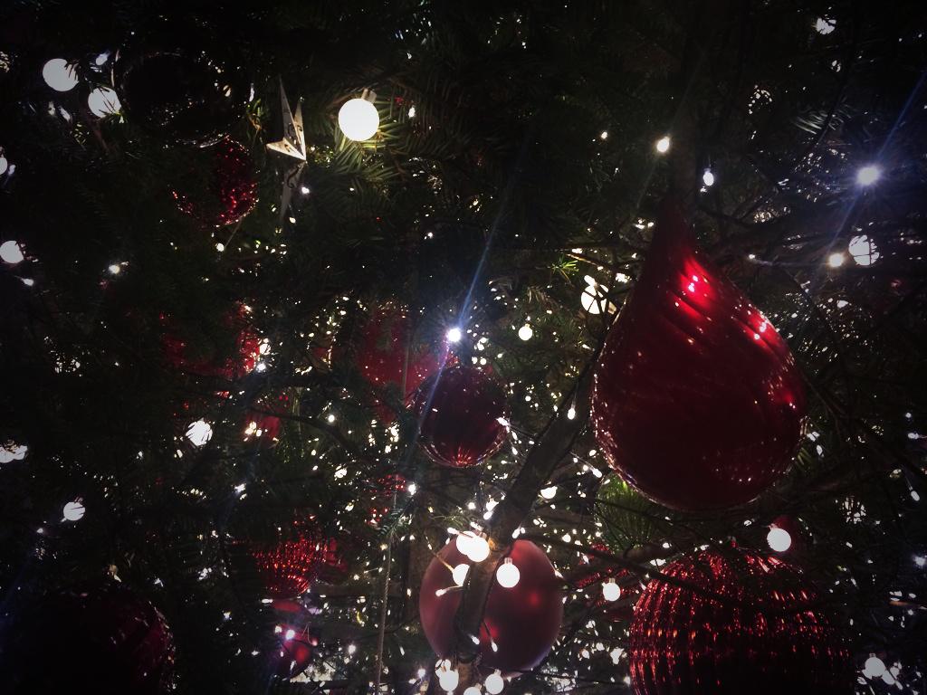 本物のもみの木よかった！❤︎