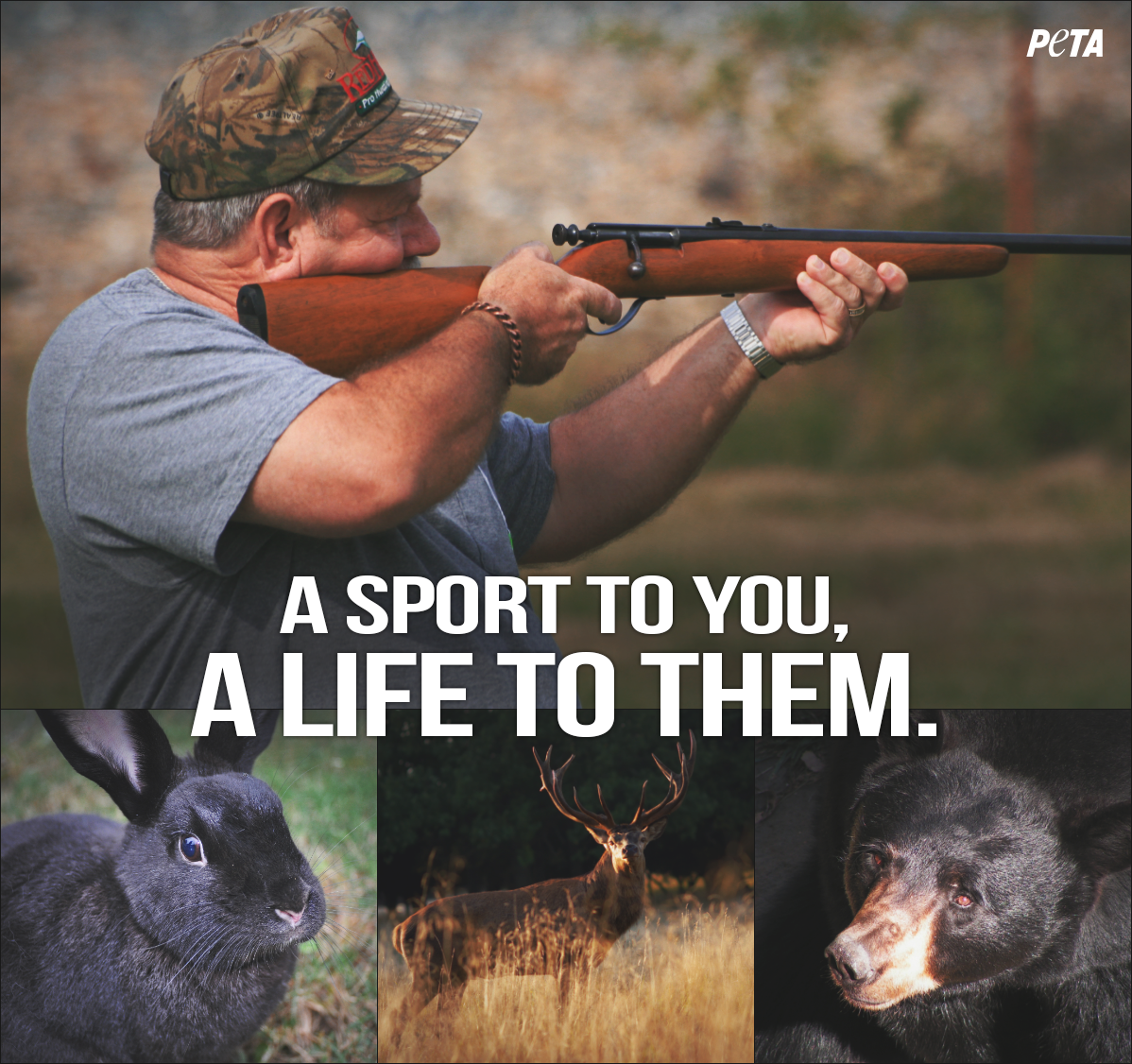 peta's tweet image. It's NOT a sport if the opponent doesn't know they are playing.

RT if u agree! #BanHunting