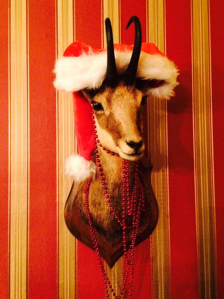 GaviusArnhem's tweet photo. Wij zijn klaar voor de kerst! http://t.co/eWZiqWwE1W