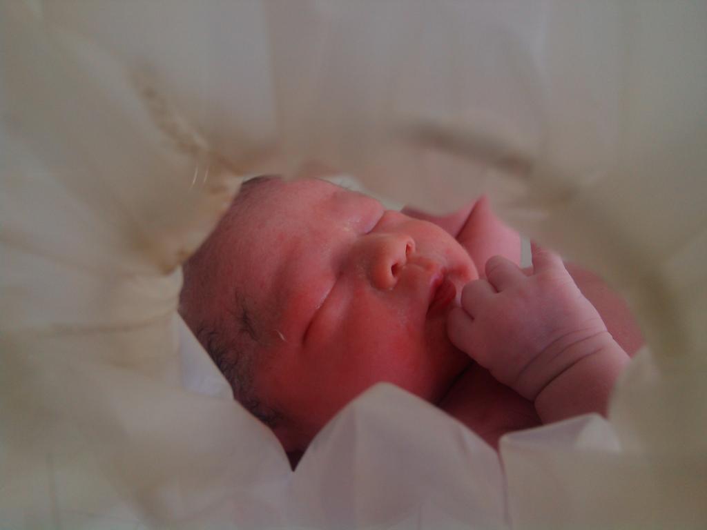 Rommy Pujianto tweet media