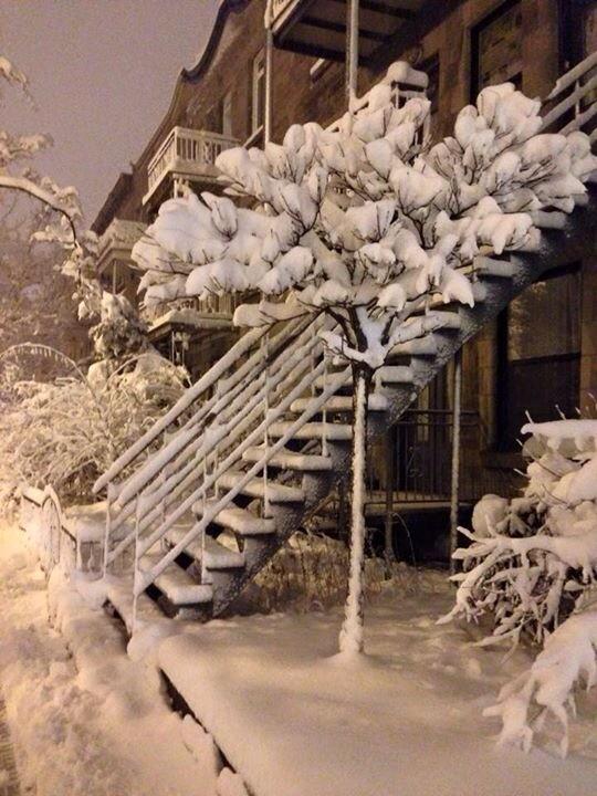 petitevirginie's tweet photo. Heavy snow in Montreal. Glad i am staying home #cooking http://t.co/HRKWA0Fmqp