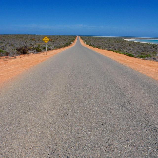 どこまでも続くまっすぐな道 Infinite Road #infiniteroad #road #westernaustralia #australia #道 #まっすぐな道 #道路 #西オーストラリア #オーストラリア #広...