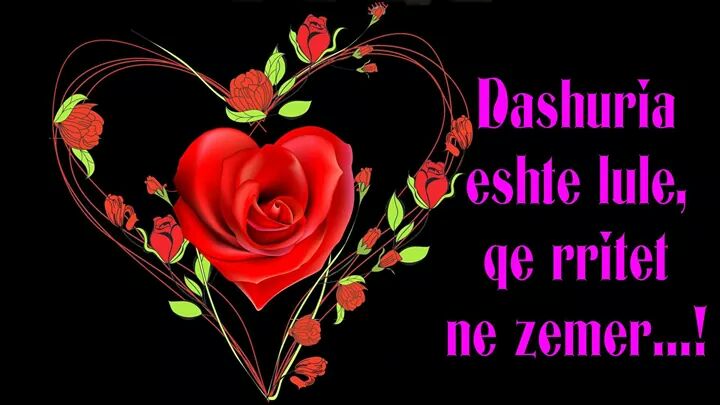 Billedresultat for ti je dashuri