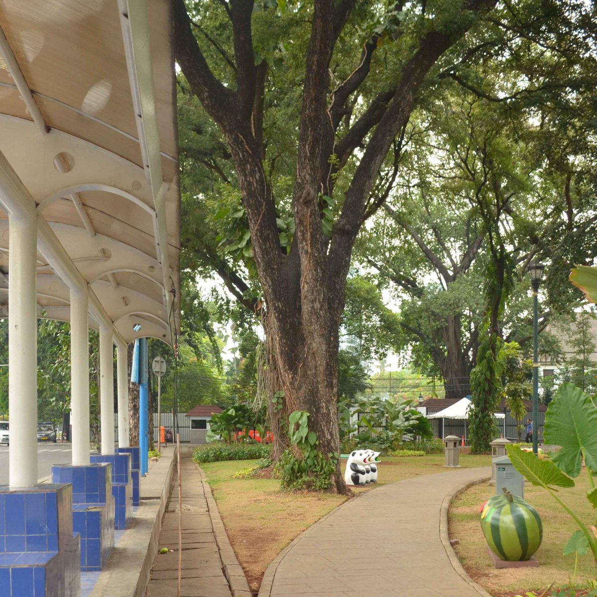 explorasik tweet picture