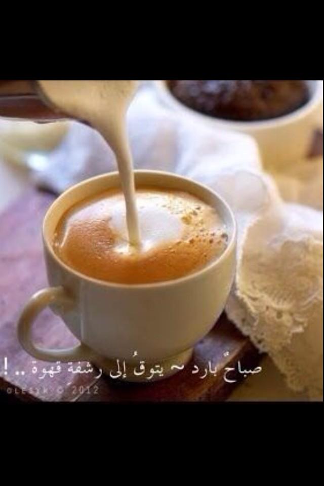 SregfE tweet picture