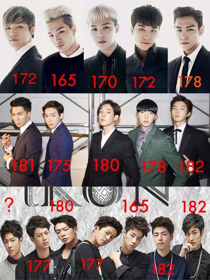 Winner 本当の身長はどのくらい