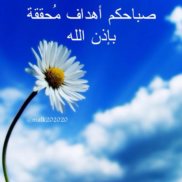 malk202020's tweet photo. صباح الإنجاز😃👍 http://t.co/fEG23Nalqh