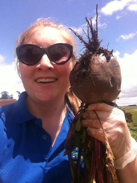 OzFreshHerbs's tweet image. Our beets are HUGE! Perfect for Christmas Roast. Elwood Berwick or Bonbeach #farmersmarket this weekend!
