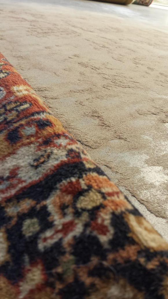 Allclean2's tweet image. Dirt left in a rug "cleaned" 2 weeks ago by a competitor. Pic taken after we dusted the rug prior to re cleaning.