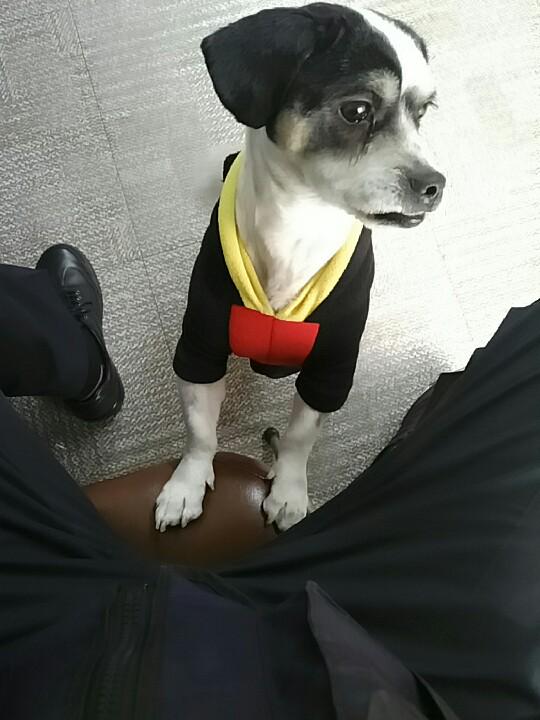 Bang Soon won tweet media