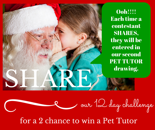 Pet Tutor tweet media