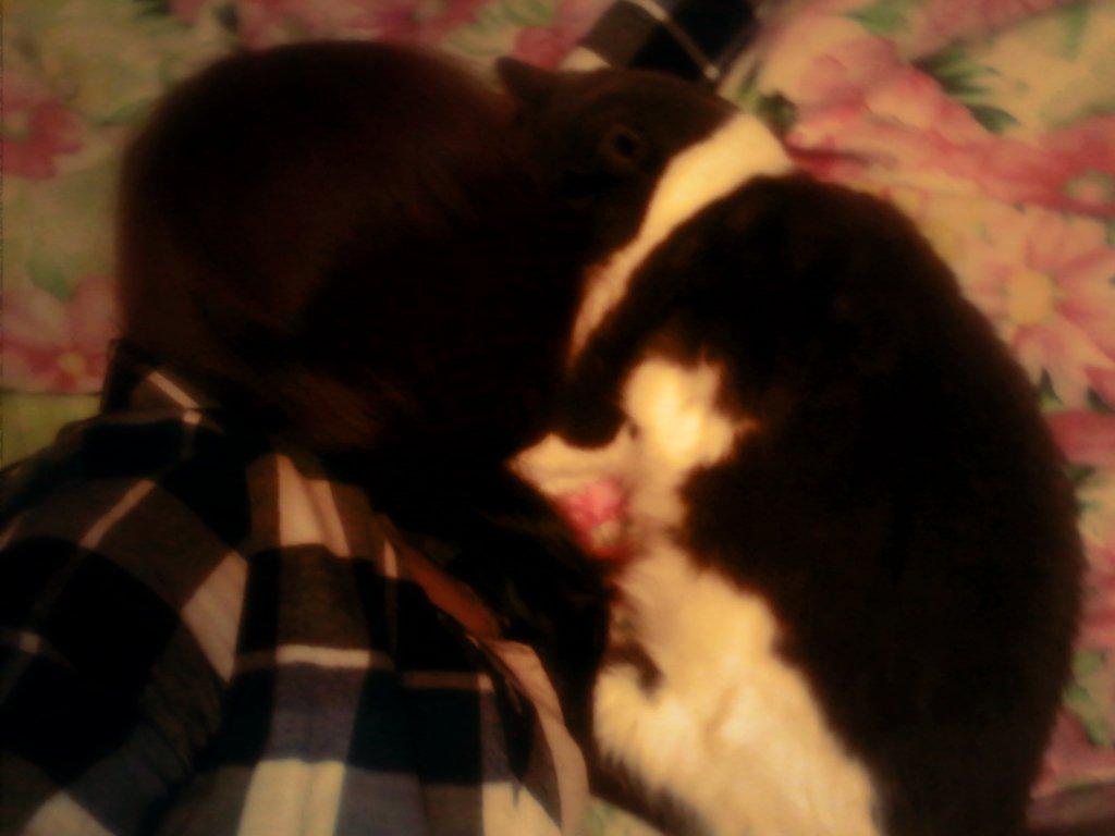 Veronika_Night's tweet photo. Вероника ��осле занятий... http://t.co/RrU3C7EWTI