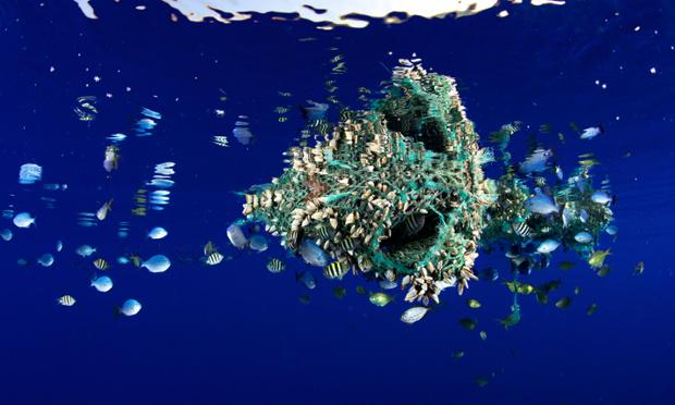 BirdLifeEurope's tweet photo. Full scale of plastic in the world's oceans revealed for 1st time: 5 trillion pieces or more!
http://t.co/juzUvgeNgx http://t.co/L32rmLOEeT