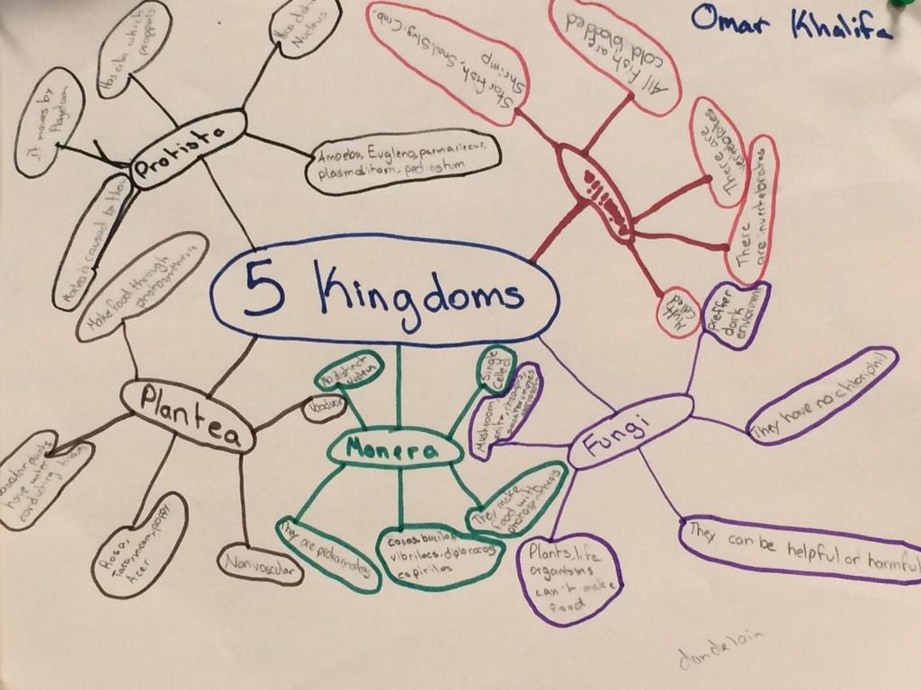 nooooooooooob12's tweet photo. @AISJ_Science7 My mind map about the 5 kjngdoms http://t.co/IjB0vTZ4ku