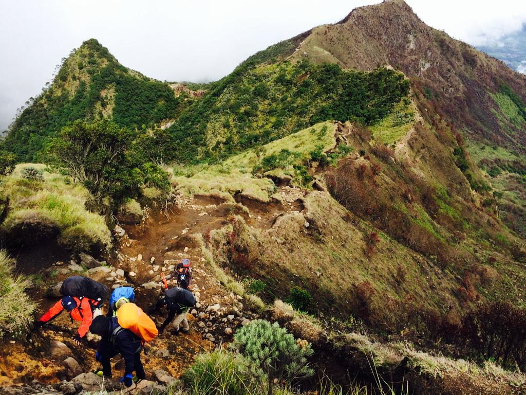 sandysic tweet media