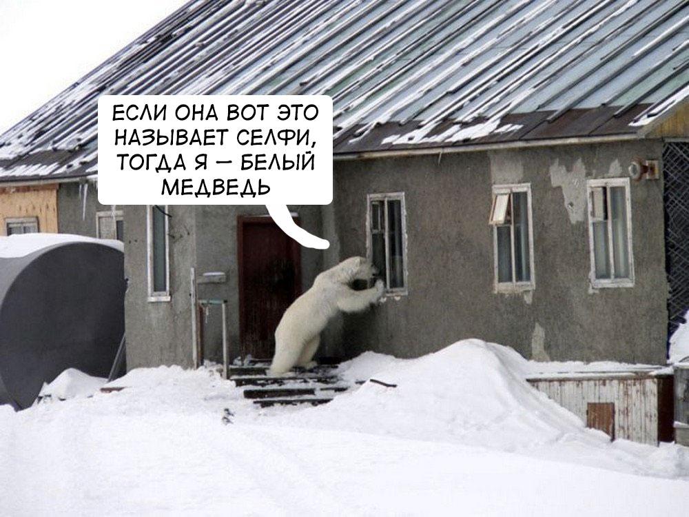 tjournal's tweet image. Это приложение позволит подсматривать за соседскими фото в Instagram и поможет журналистам tjournal.ru/paper/yomapic